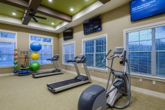 Aida-Palms-_1776-web