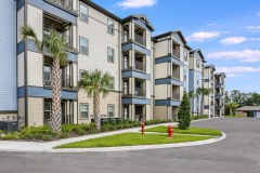 Aida-Palms-_1822-web